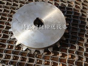 长城网带链轮02.jpg