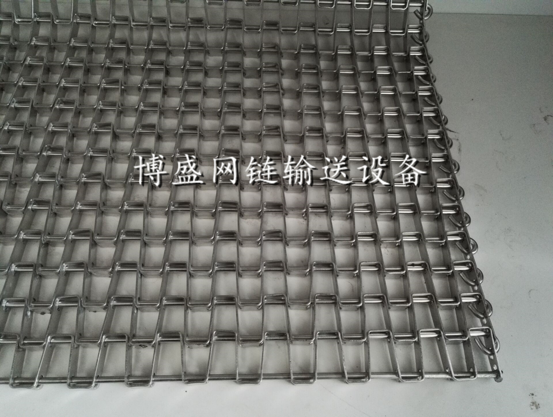 长城网带03.jpg